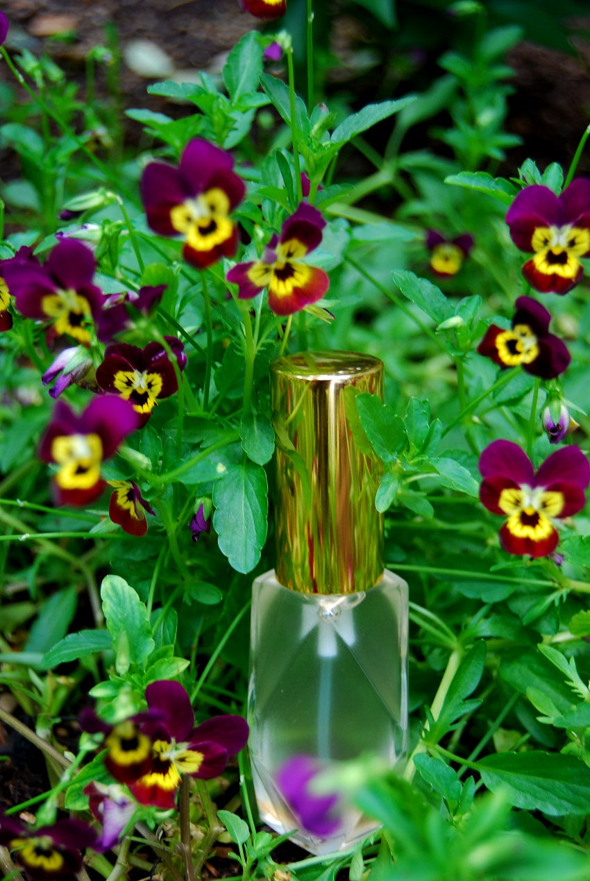 Nytesun by African Visions